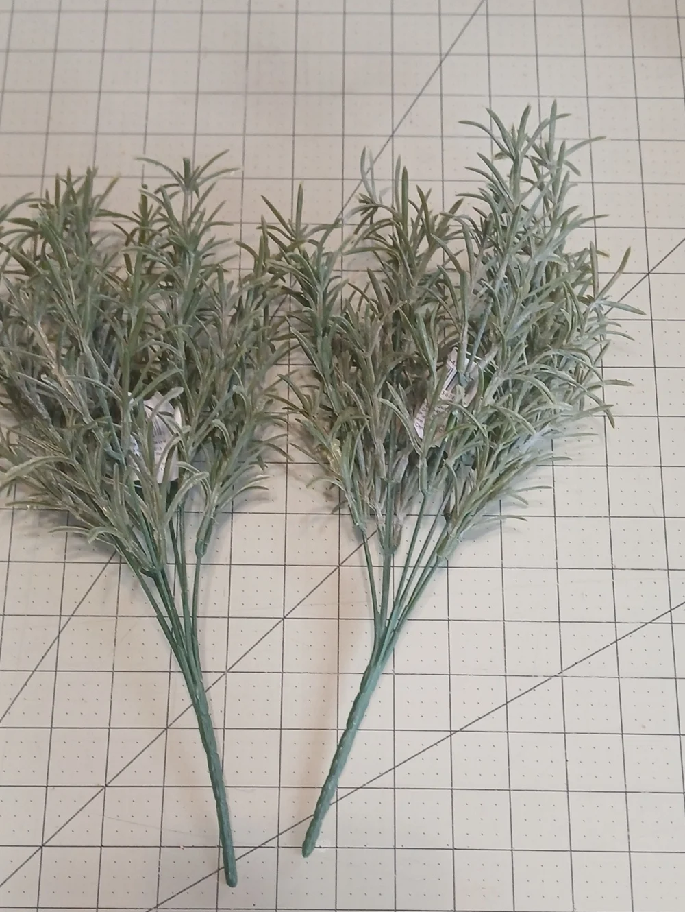 Eucalyptus Bush - Set Of 2